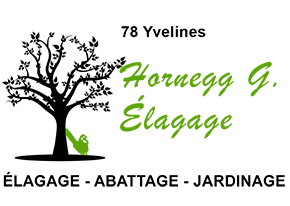 HORNEGG Gino Elagage 78